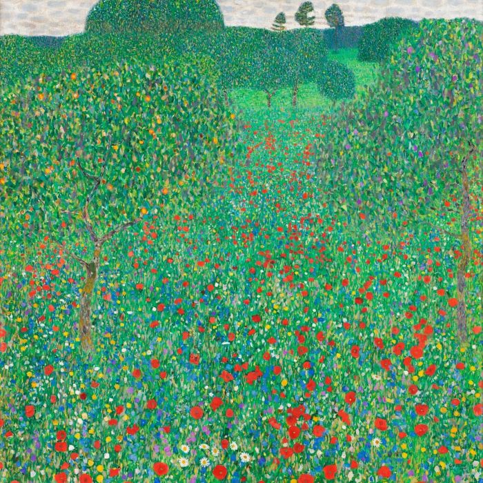 A Field of Poppies