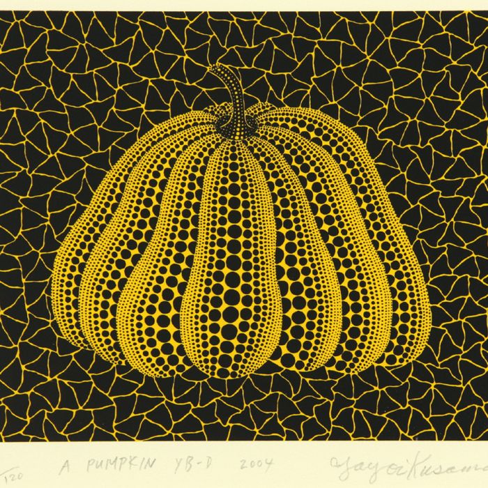 Pumpkin YB-D